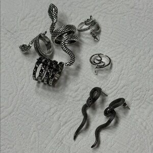 Silver Snake Ring Set and Earrings